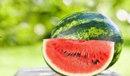 吃瓜網(wǎng)官網(wǎng),帶你領略網(wǎng)絡娛樂資訊的盛宴