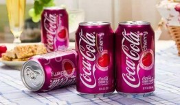 網(wǎng)紅大可樂(lè),揭秘網(wǎng)絡(luò)紅人的崛起之路