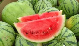 今日吃瓜官網(wǎng),揭秘娛樂圈最新熱點(diǎn)，帶你暢游八卦海洋