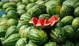 吃瓜網(wǎng)官網(wǎng),帶你領略網(wǎng)絡娛樂資訊的盛宴