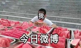 全民吃瓜,揭秘娛樂圈幕后故事