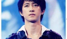 朝陽黑料,揭開真相背后的迷霧