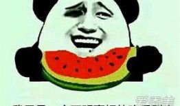 吃瓜群眾,吃瓜群眾眼中的明星生活