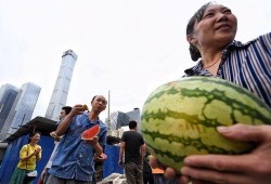 51朝陽吃瓜,揭秘娛樂圈最新吃瓜事件，帶你領略明星幕后故事