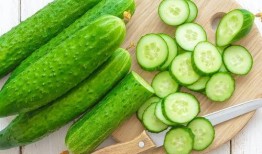 朝陽吃瓜網,揭秘娛樂圈最新熱點，帶你領略明星幕后故事