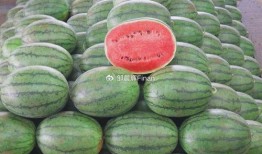 2024大瓜事件,揭秘娛樂圈風云變幻