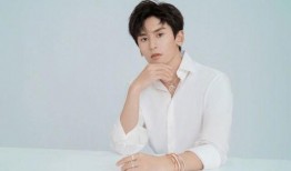 =明星明星公開(kāi)道歉,真誠(chéng)反思與公眾形象的重建