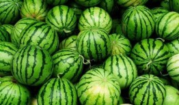 今日吃瓜每日必吃,每日必吃，揭秘娛樂圈新鮮事