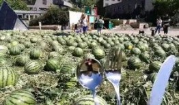 北京朝陽吃瓜,瓜界風云錄，美食地圖大揭秘