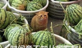 52吃瓜爆料免費吃瓜視頻