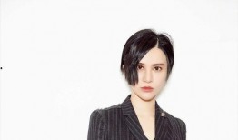 明星黑料社,明星黑料社獨(dú)家爆料，真相與謠言的較量