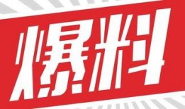 獨家爆料素材,震驚內(nèi)幕，揭秘某事件背后驚人真相！