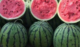 吃瓜網(wǎng)官網(wǎng)免費觀看,熱門劇集一網(wǎng)打盡！