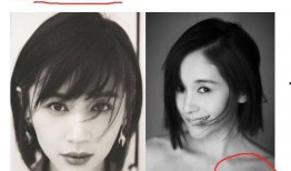 明星黑料最新,明星黑料曝光，真相背后引人深思