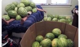 在線吃瓜--今日大賽,今日大賽精彩瞬間大盤點