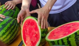 今日吃瓜官網,揭秘娛樂圈最新熱點，帶你暢游八卦海洋