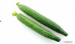黃瓜c,揭秘黃瓜中的神秘元素