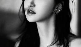 明星黑料最新,明星黑料曝光，真相背后引人深思