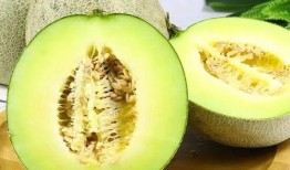 網紅熱瓜,揭秘網絡紅人的崛起與爭議