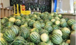 今日吃瓜官網(wǎng),揭秘娛樂圈最新熱點(diǎn)，帶你暢游八卦海洋