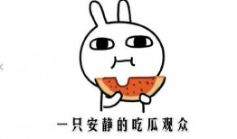 在線吃瓜的意思,揭秘“在線吃瓜”背后的社交現象