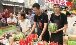 北京朝陽吃瓜,瓜界風云錄，美食地圖大揭秘