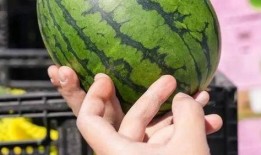 瓜老師,開啟人生新篇章