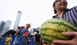 51朝陽吃瓜,揭秘娛樂圈最新吃瓜事件，帶你領略明星幕后故事