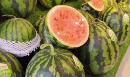 每日吃瓜,輕松掌握娛樂(lè)圈新鮮事