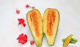 懷仁最近網(wǎng)紅大瓜,揭秘背后驚人真相