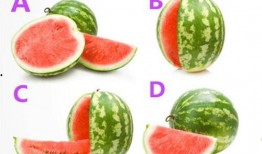 52每日大瓜視頻,揭秘娛樂圈幕后故事，帶你領略明星真實生活