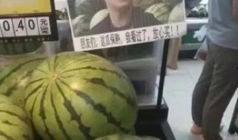 網紅熱瓜,揭秘網絡紅人的崛起與爭議