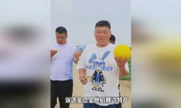 今日吃瓜體育生男友,揭秘校園戀情背后的甜蜜與挑戰(zhàn)