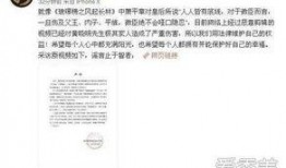 明星資訊是什么意思,揭秘娛樂圈最新動態