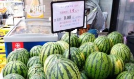 熱門大瓜,熱門大瓜背后的驚人真相