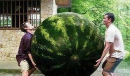 熱門大瓜,熱門大瓜背后的驚人真相