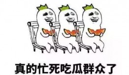 吃瓜群眾,吃瓜群眾眼中的明星生活