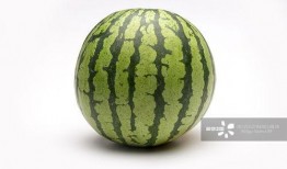 熱門大瓜,熱門大瓜背后的驚人真相