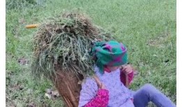 網紅小英被曝大瓜,背后真相令人震驚