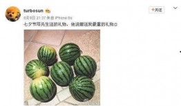 網紅熱瓜,揭秘網絡紅人的崛起與爭議